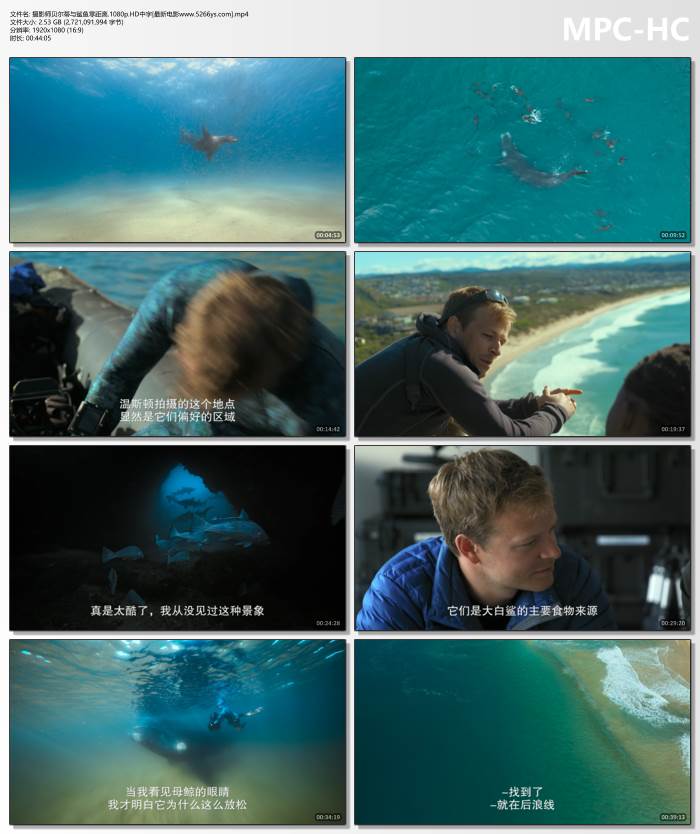 短篇结构剪辑混剪